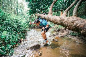 BIB: 
                            <button type="button" onclick="openModal(25376030)" class="btn btn-primary btn-sm float-right btn-popup" data-toggle="modal" data-target=".modal-high-quality">
                        <i class="fas fa-shopping-cart"></i> Add to Cart
                    </button>
                                            <button type="button" onclick="isThisMe(25376030, true)" class="btn btn-success btn-sm float-right btn-popup btn-isme hidden" data-toggle="tooltip" data-placement="bottom" title="นี่คือรูปของคุณใช่ไหม คลิกที่นี่เพื่อเอาเข้าอัลบั้ม">
                        <i class="fas fa-plus"></i> Add to album
                    </button>
                    <button type="button" onclick="isThisMe(25376030, false)" class="btn btn-warning btn-sm float-right btn-popup btn-isnotme hidden">
                        <i class="fas fa-ban"></i> Remove from album
                    </button>